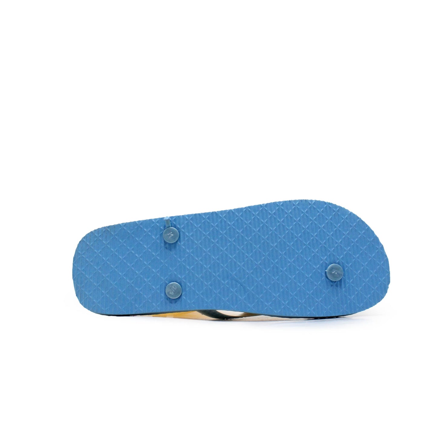 Fish Print Blue Flip Flop