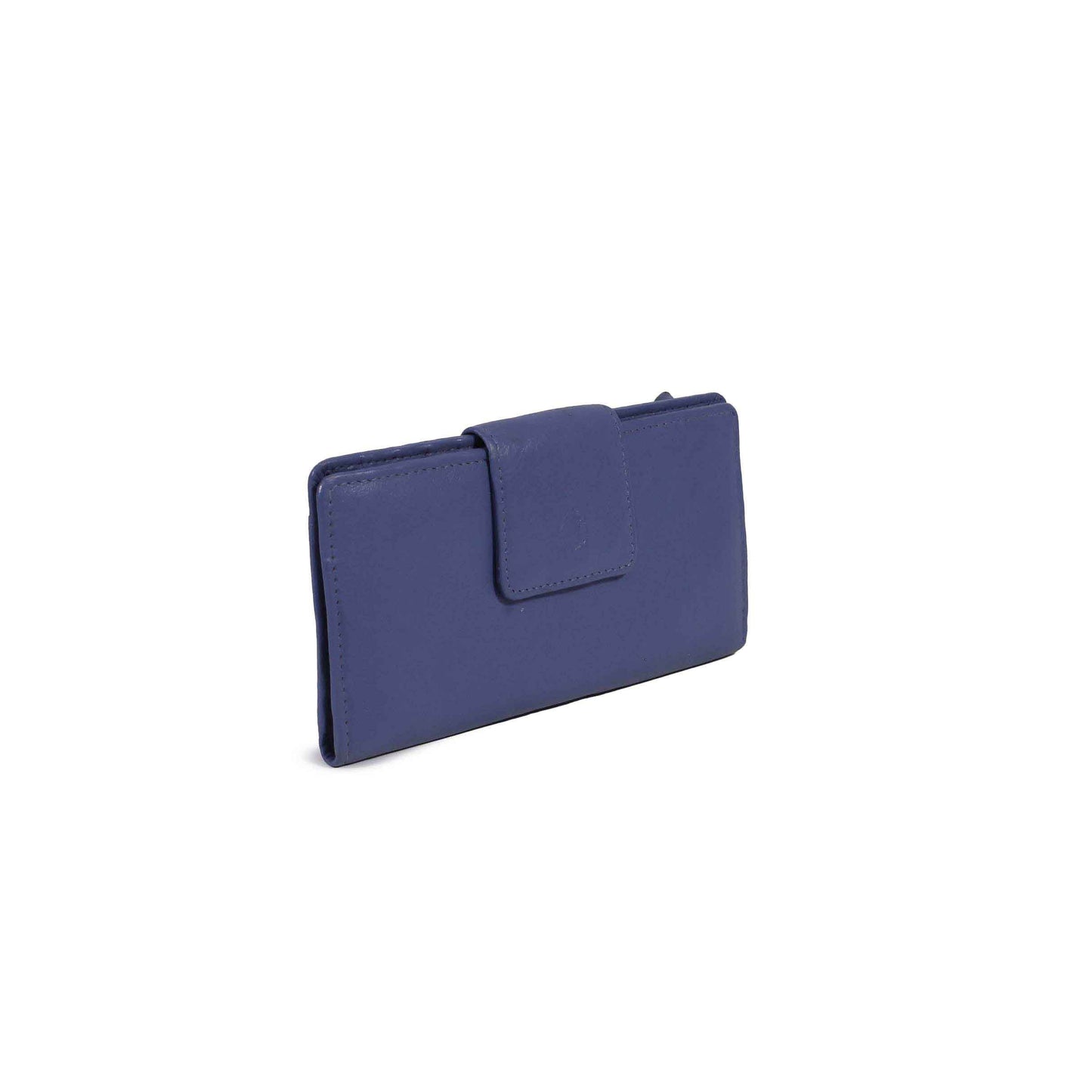 Nordic Blue Women Clutch