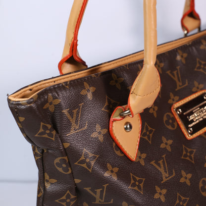 Louis Vuitton Brown Women Bag